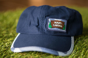 Boné Naipi e Tarobá